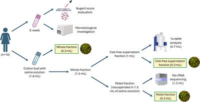 Anti-chlamydial activity of vaginal fluids: new evidence from an in vitro model